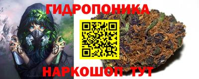 ГАЛЛЮЦИНОГЕННЫЕ ГРИБЫ Татарск