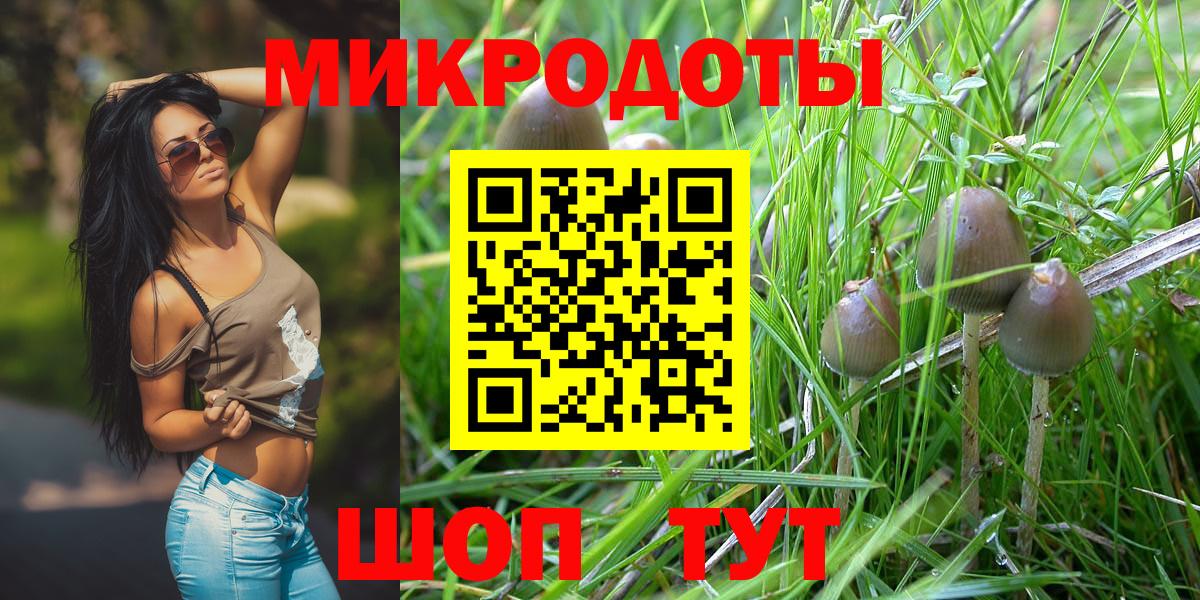 Псилоцибиновые грибы GOLDEN TEACHER Ноябрьск
