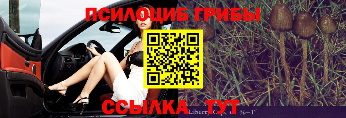 Галлюциногенные грибы GOLDEN TEACHER  Вход с VPN  Галлюциногенные грибы MAGIC MUSHROOMS  Ноябрьск 